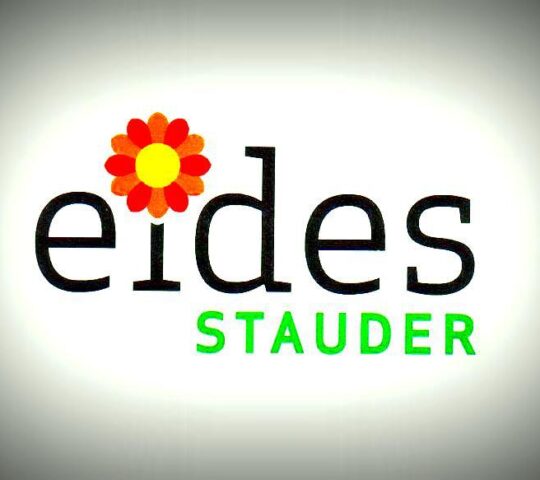 Eides Stauder