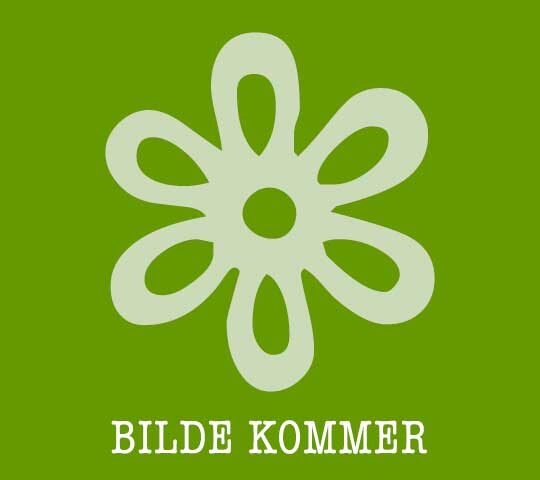 Interflora Hildenes Gartneri AS