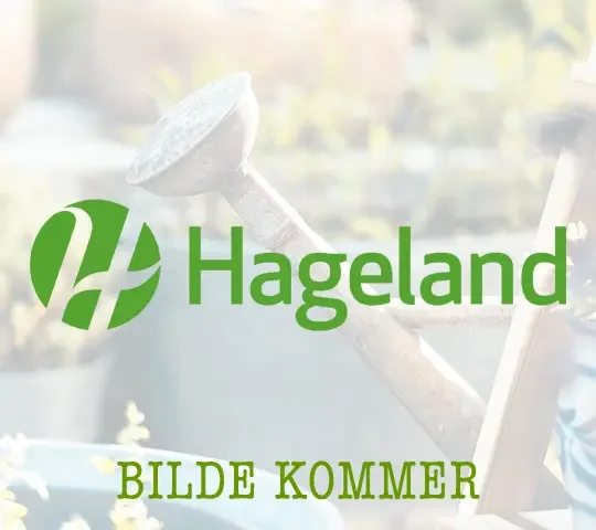 Hageland Lofoten