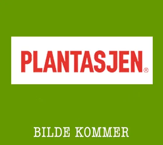 Plantasjen Åsane