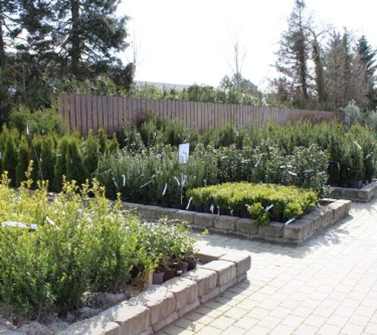 Brynes Planteskoler AS