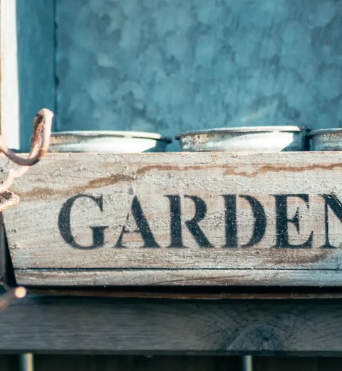 Blomstene og plantene som pryder hjemmene våre i 2025