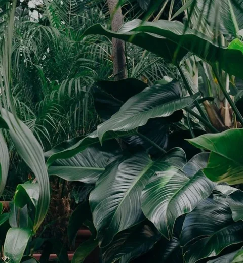 En gammel trillebår blir som ny